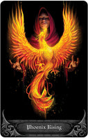 LM-IMAGE-111563798-