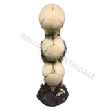 The Hear-no, See-no, Speak-no Evil Skull Statue Sculpture Figure Skeleton Limited