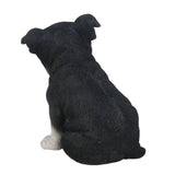 Adorable Seated Boston Terrier Puppy Collectible Figurine Amazing Dog Likeness Hand Painted Resin 6.5 inch Figurine Great for Dog Lovers Tabletop Decor
