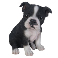 Adorable Seated Boston Terrier Puppy Collectible Figurine Amazing Dog Likeness Hand Painted Resin 6.5 inch Figurine Great for Dog Lovers Tabletop Decor
