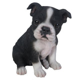 Adorable Seated Boston Terrier Puppy Collectible Figurine Amazing Dog Likeness Hand Painted Resin 6.5 inch Figurine Great for Dog Lovers Tabletop Decor