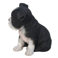 Adorable Seated Boston Terrier Puppy Collectible Figurine Amazing Dog Likeness Hand Painted Resin 6.5 inch Figurine Great for Dog Lovers Tabletop Decor