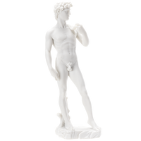 Michelangelo Statue of David Classic Renaissance Replica Resin Sculpture Figurine