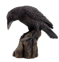 Raven Skull Statue Cold Cast Resin Figurine