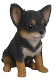 Pet Pals - Boston Terrier Puppy Sitting