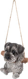 Hanging Schnauzer Puppy