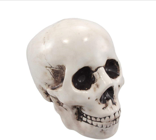 PTC Pacific Giftware Skull Skeleton Savings Piggy/Coin/Money Bank, 6" H, White