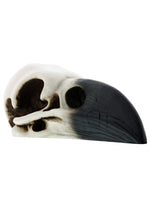 YTC White and Black Raven Bird Skeleton Skull Halloween Décor Statue