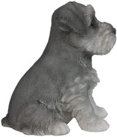 Pacific Giftware Adorable Seated Mini Schnauzer Puppy Collectible Figurine Amazing Dog Likeness Hand Painted Resin 6.5 inch Figurine Great for Dog Lovers Tabletop Decor
