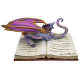 Book Wyrmill Dragon Text Book Statue by Amy Brown Studying Mystical Purple Drago