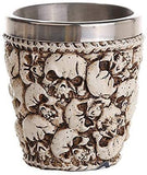 Novelty Decorative Ossuary Style Skull Skeletal Bones Shot Glasses Set of 2