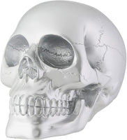 Silver Skull Head Collectible Skeleton Decoration Figure