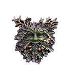 Greenman Face Resin Figurine Wall Plaque