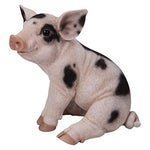 Pacific Giftware PT Realistic Look Statue Farm Baby Pig Piglet Home Decorative Resin Figurine