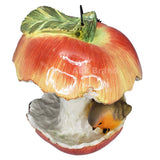 ABZ Brand Garden Farm Colorful Fruits Hanging Wild Bird Feeder (Apple)