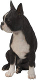 Realistic Life Size Boston Terrier Statue Detailed Sculpture Glass Eyes Hand Painted Resin 16 inch Figurine Home Decor Amazing Likeness