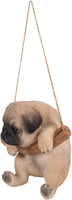 Hanging Pug Puppy