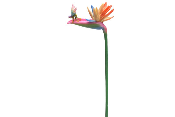 PTC Bird of Paradise with Fairy Flitty Statue Figurine in Window Gift Box