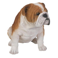 Realistic English Bulldog Statue Glass Eyes Bully Red White