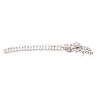 Pacific Giftware Dragon Skull Bone Back Scratcher Home Decor Resin