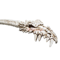 Dragon Skull Hand Back Scratcher Resin Skeleton Back Bone
