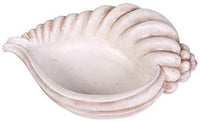 Pacific Giftware PT Seashell Display Decorative Decor