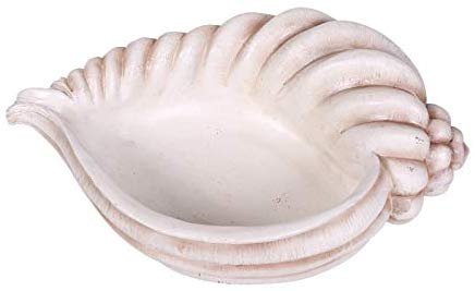 Pacific Giftware PT Seashell Display Decorative Decor
