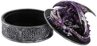Pacific Giftware Medieval Fantasy Mythical Dragon Lidded Treasure Trinket Box