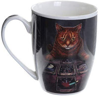 4" The Reader Cat New Bone China Porcelain Coffee Drinking Mug