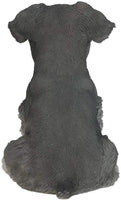 Pacific Giftware Adorable Seated Mini Schnauzer Puppy Collectible Figurine Amazing Dog Likeness Hand Painted Resin 6.5 inch Figurine Great for Dog Lovers Tabletop Decor
