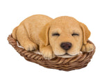 Pacific Giftware Labrador Puppy in Wicker Basket Pet Pals Collectible Dog Figurine 6.5 Inches L