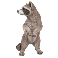Realistic Looking Raccoon Standing On Hind Legs Statue Life Size