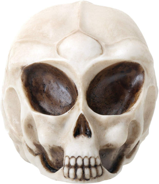 Small Realistic Alien Skull Face with Deep Eyes Figurine Statue