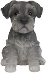 Pacific Giftware Adorable Seated Mini Schnauzer Puppy Collectible Figurine Amazing Dog Likeness Hand Painted Resin 6.5 inch Figurine Great for Dog Lovers Tabletop Decor