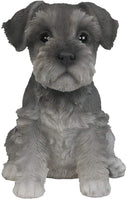 Pacific Giftware Adorable Seated Mini Schnauzer Puppy Collectible Figurine Amazing Dog Likeness Hand Painted Resin 6.5 inch Figurine Great for Dog Lovers Tabletop Decor