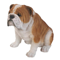 Realistic English Bulldog Statue Glass Eyes Bully Red White