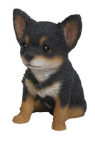 Pet Pals - Boston Terrier Puppy Sitting