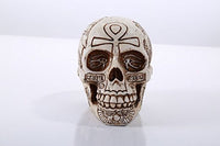 Pacific Giftware Ancient Egyptian Inspired Nefertiti King Tut Ankh Skull Collectible
