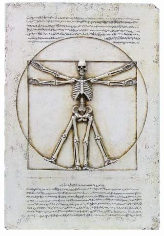 Vitruvian Skeleton Plaque Statue