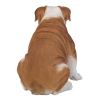 Realistic English Bulldog Statue Glass Eyes Bully Red White