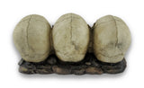 Things2Die4 See, Hear and Speak No Evil Skulls Statue