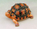 Tortoise bejeweled jewelry box 2