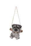 Hanging Schnauzer Puppy