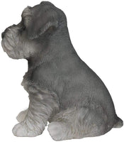 Pacific Giftware Adorable Seated Mini Schnauzer Puppy Collectible Figurine Amazing Dog Likeness Hand Painted Resin 6.5 inch Figurine Great for Dog Lovers Tabletop Decor