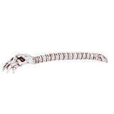 Novelty Skeleton Arm Back Scratcher Tail Bone Resin Skull Head