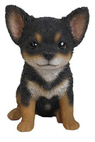 Pet Pals - Boston Terrier Puppy Sitting