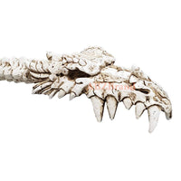 Dragon Skull Hand Back Scratcher Resin Skeleton Back Bone