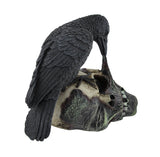 Sinister Raven Devouring Rotten Zombie Skull Figure
