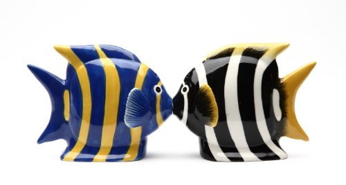 Magnetic Salt and Pepper Shaker - Angel Fish