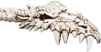 Dragon Skull Hand Back Scratcher Resin Skeleton Back Bone